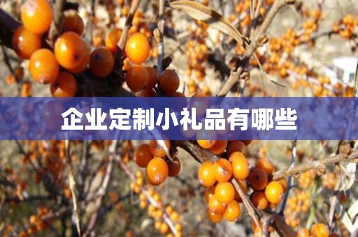 企业定制小礼品有哪些