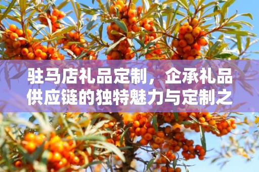 驻马店礼品定制，企承礼品供应链的独特魅力与定制之旅